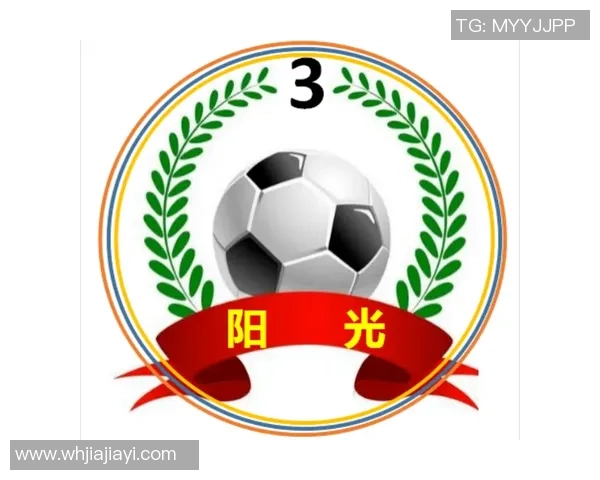 广州足球队的拼搏历程与洲际杯荣耀之路的深度剖析