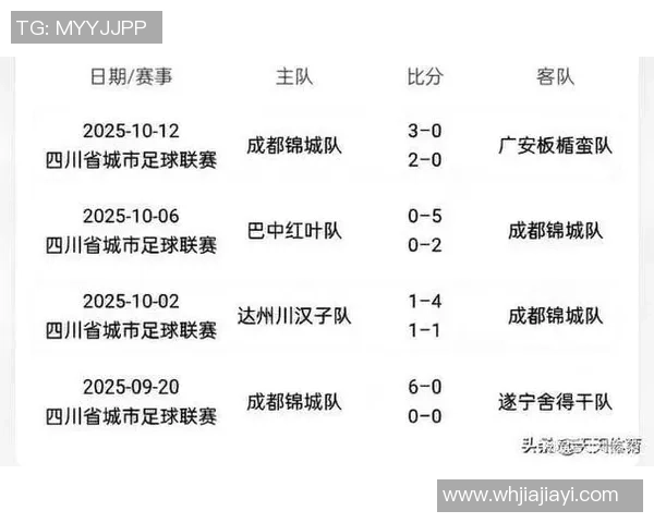 成都排球队以51分稳居选拔赛积分榜首位展现强劲实力