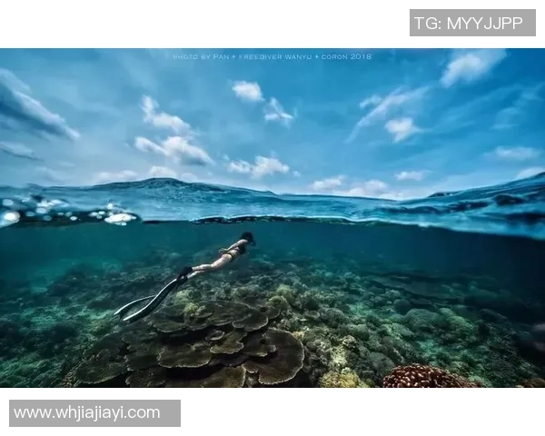 赛后分析：北京极限运动队与西安极限运动队个人能力对比探讨